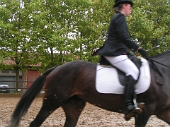 PO 2008 (8)